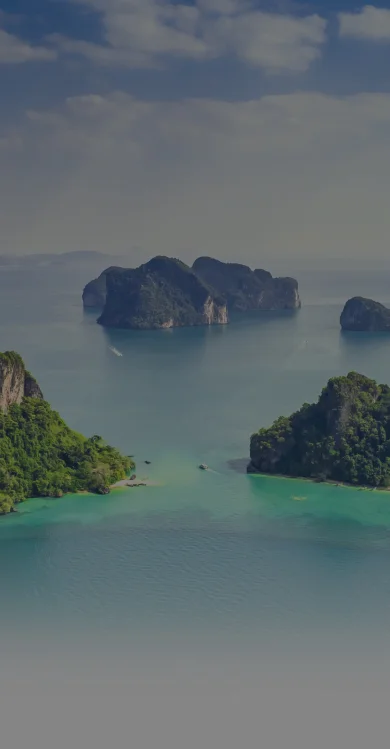 Tropical Paradise Mobile