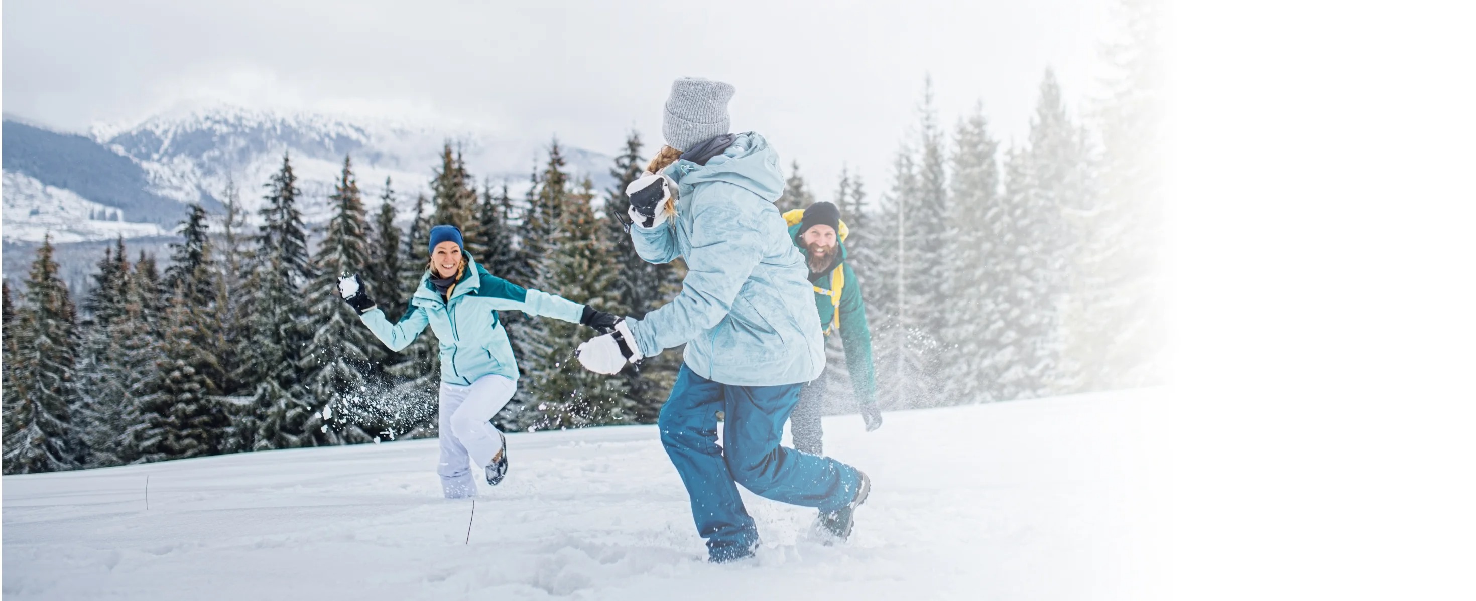 Holiday Factory Premium UAE National Day Deals Desktop