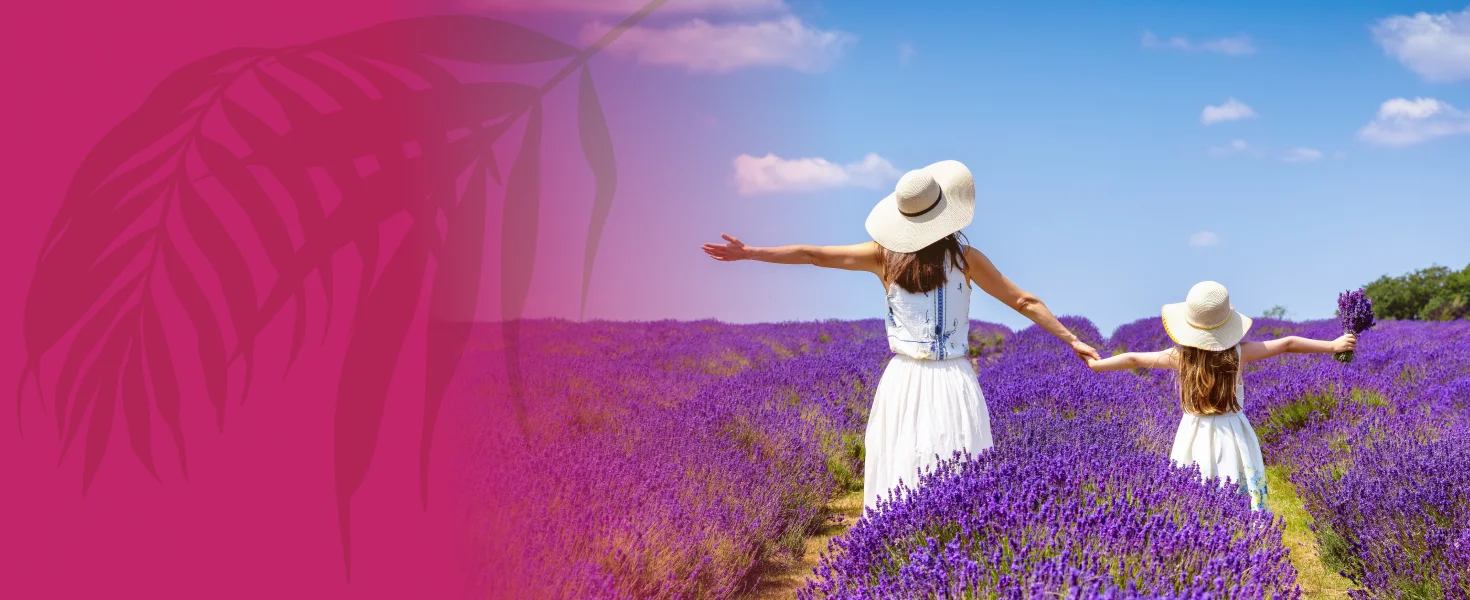 Holiday Factory Premium Flash Sale Deals Desktop