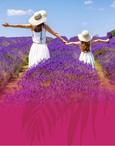 Holiday Factory Premium Flash Sale Deals Mobile